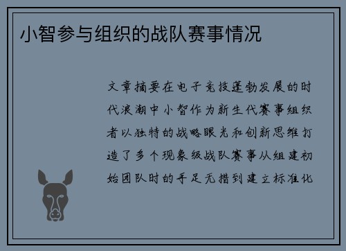 小智参与组织的战队赛事情况