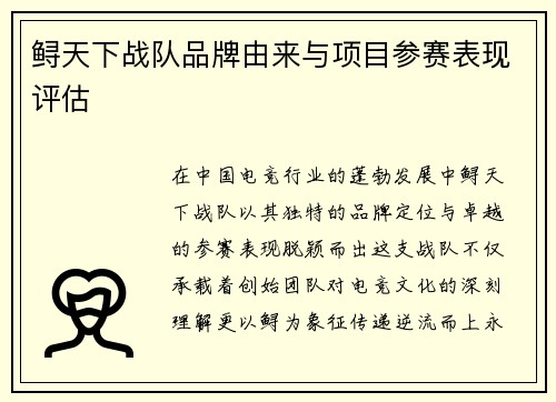 鲟天下战队品牌由来与项目参赛表现评估